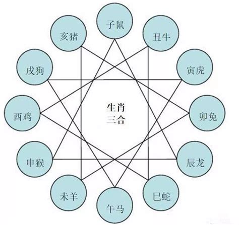 生肖五行相生相克|十二生肖相克相生表